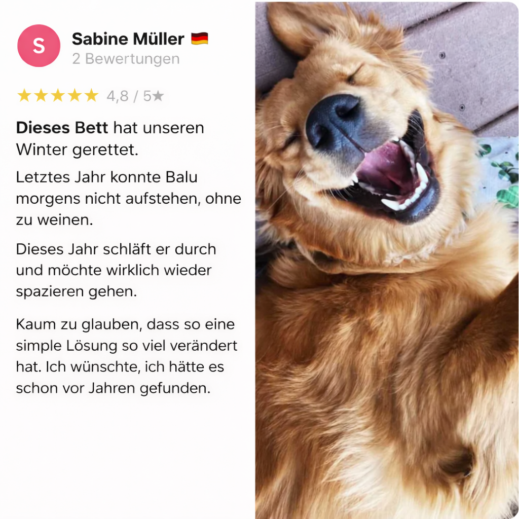 Pawloo Haustiermatte