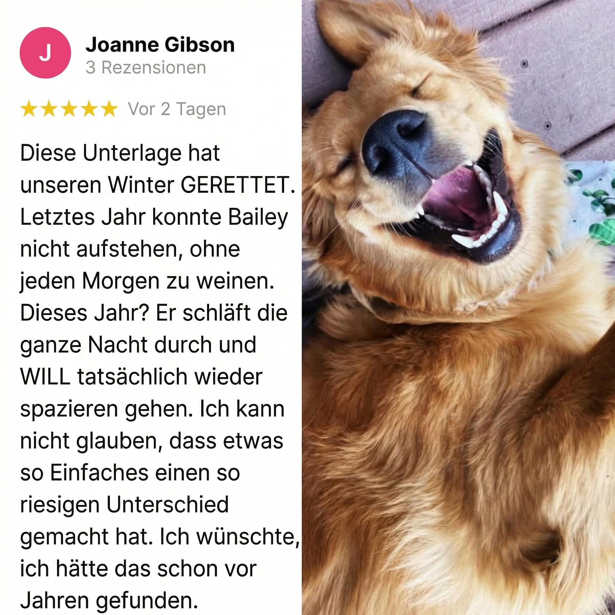 Reflektierende Hundematte