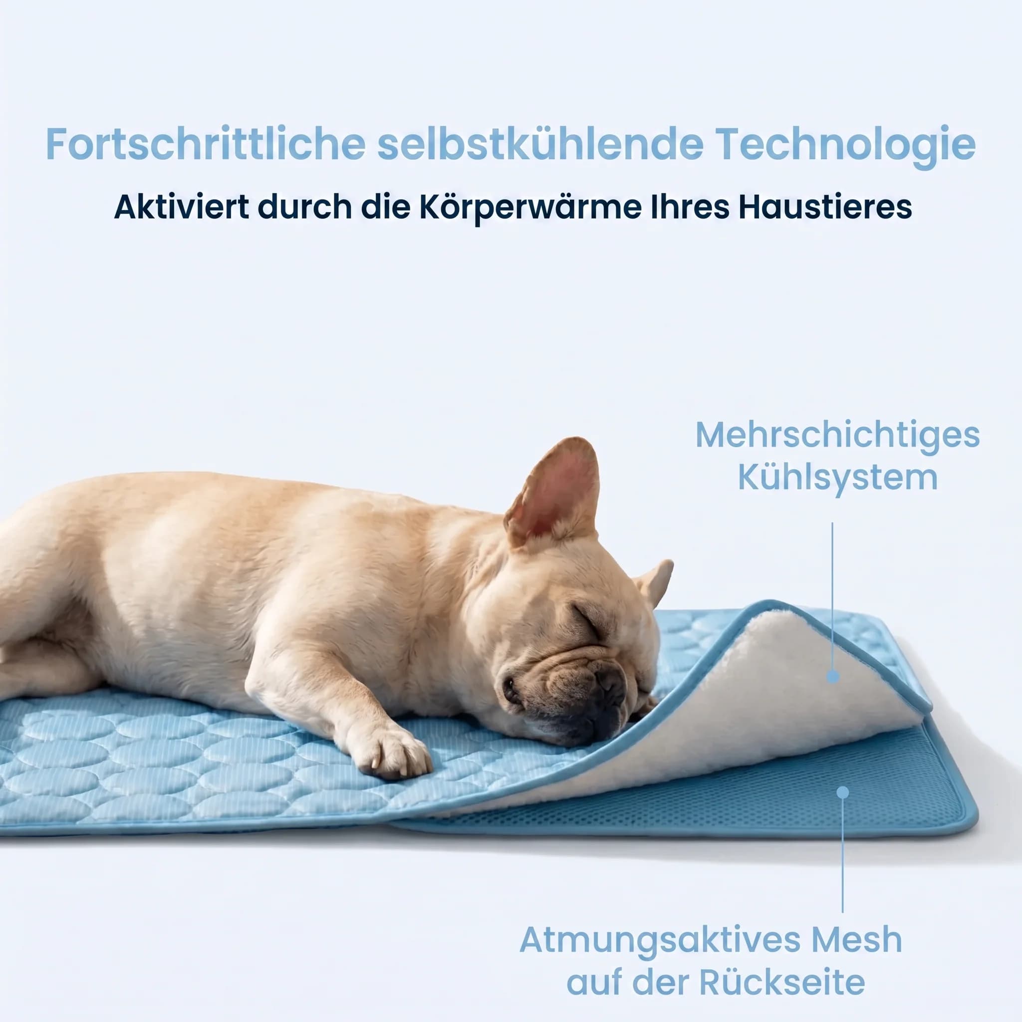Pawloo Kühlmatte