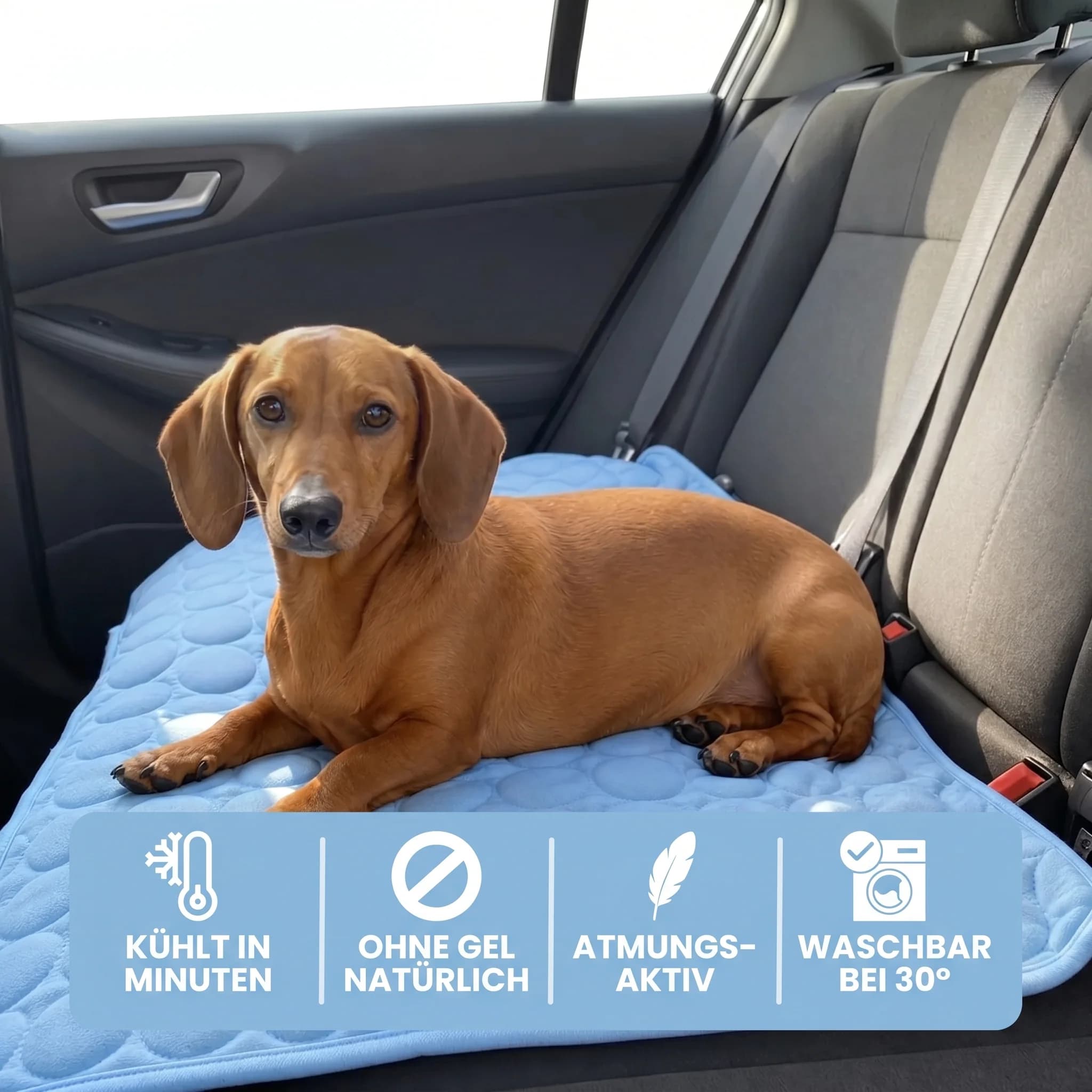 Pawloo Kühlmatte